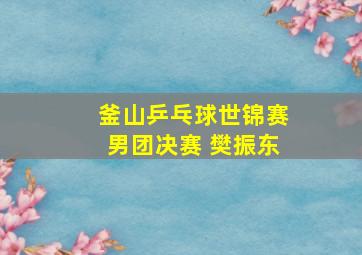 釜山乒乓球世锦赛男团决赛 樊振东